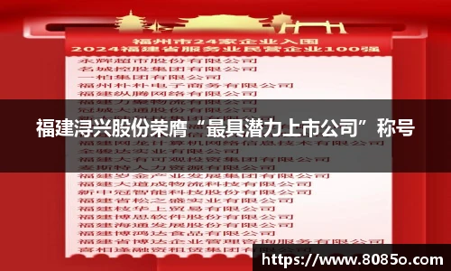 福建浔兴股份荣膺“最具潜力上市公司”称号