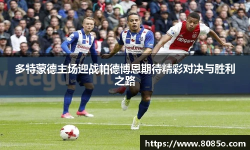 多特蒙德主场迎战帕德博恩期待精彩对决与胜利之路