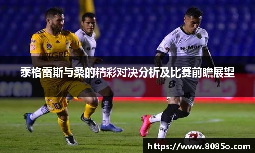 泰格雷斯与桑的精彩对决分析及比赛前瞻展望